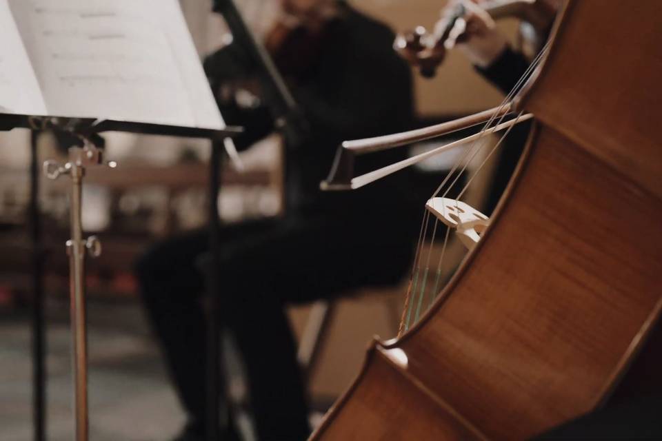 Cello