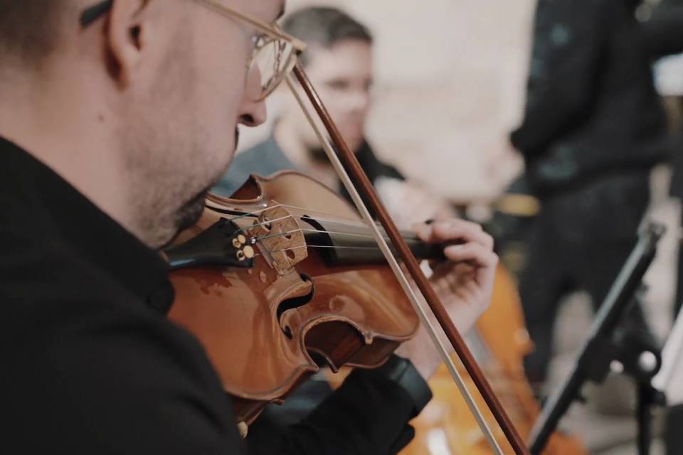 Violín
