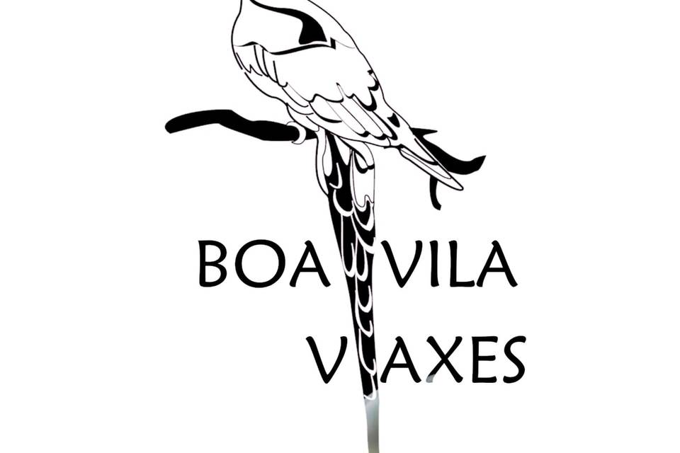 Boavila Viaxes