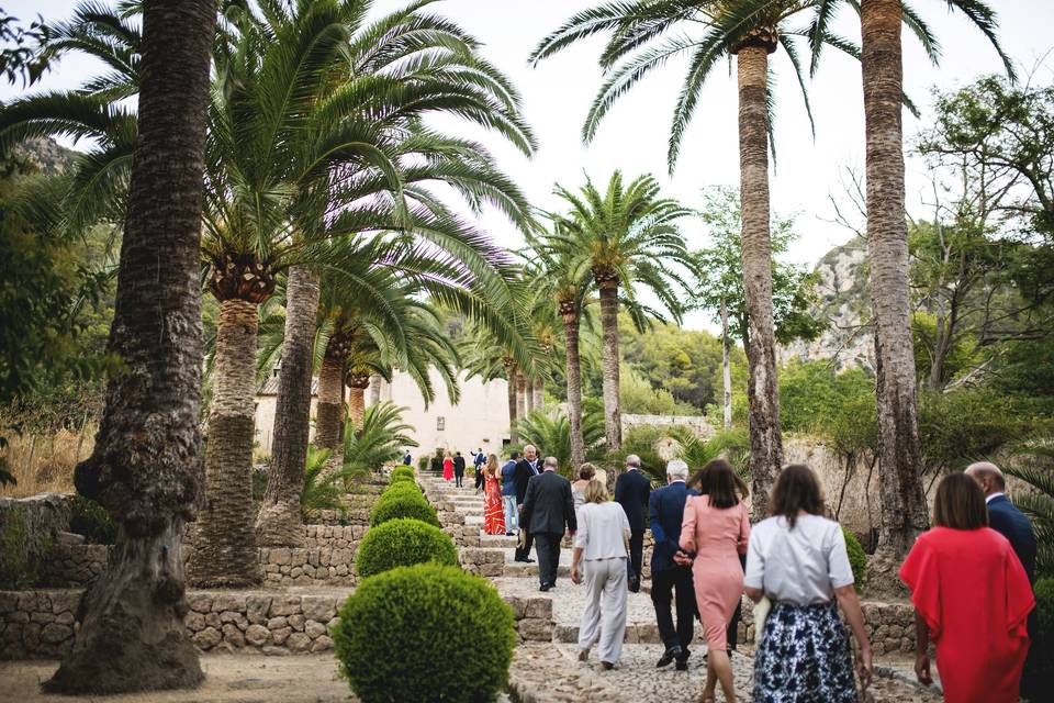 Paseo por la finca