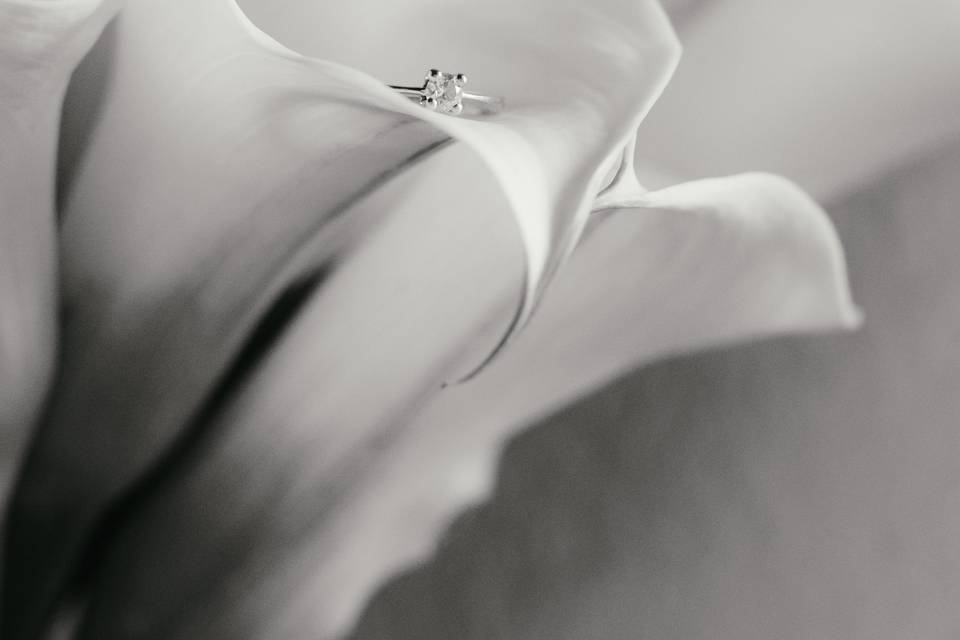 Fotografía creativa