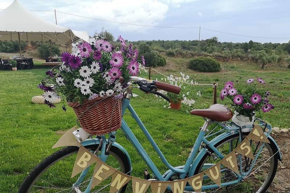 Bicicleta vintage para boda