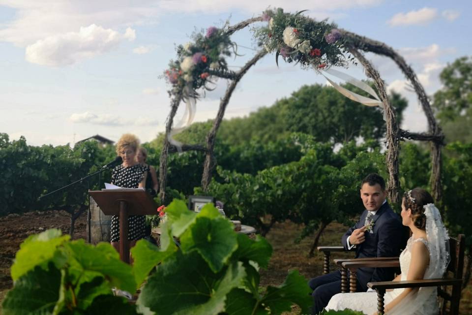 Matilda's - Oficiante de ceremonias