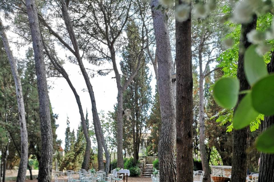 Ceremonia en el Bosque