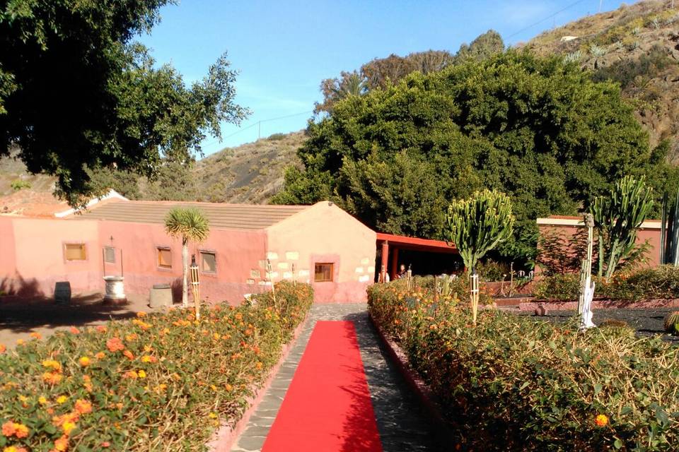 Alfombra roja