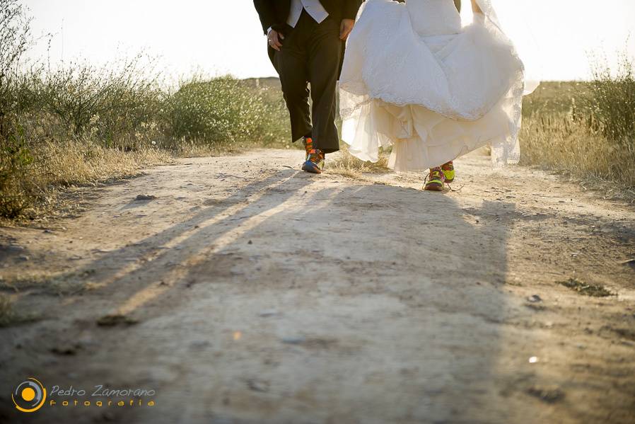 Pedro Zamorano Fotografía