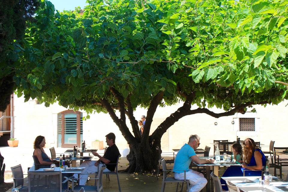 Comida informal en verano