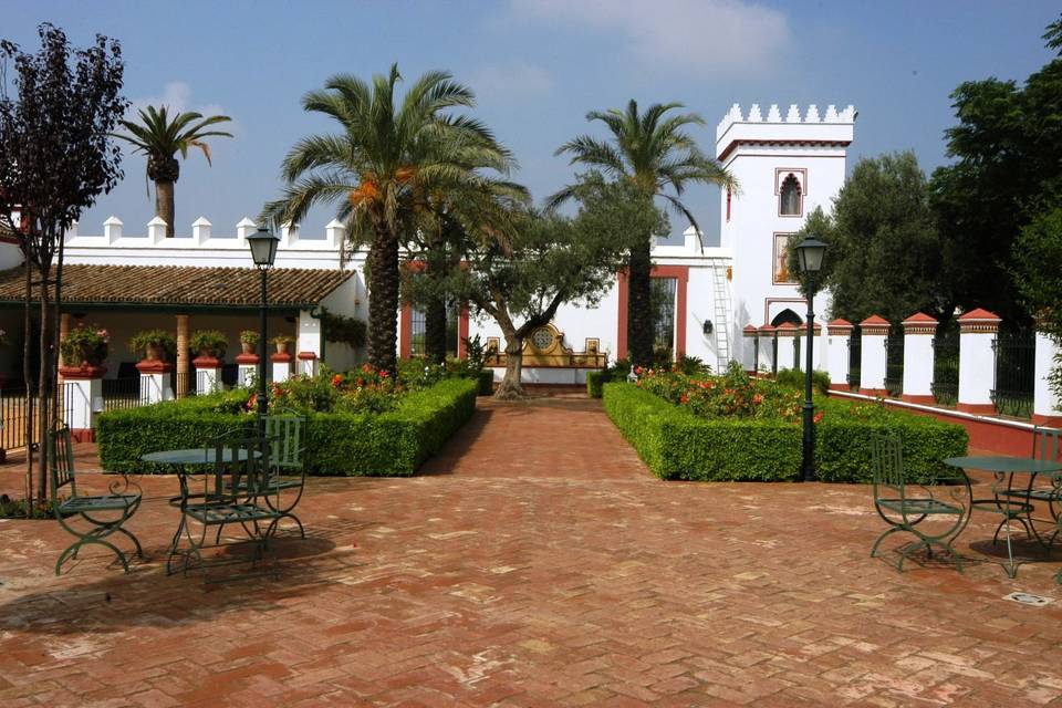 Patio Palmeras