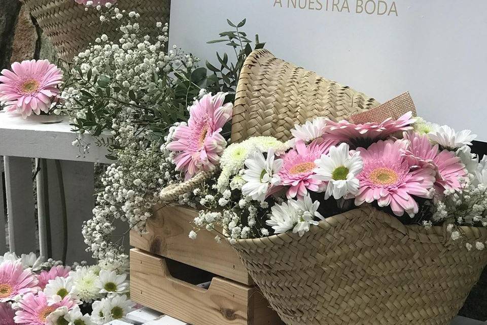 Las Bodas De Lía