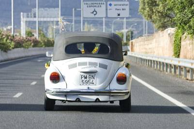 Herbie camino al banquete