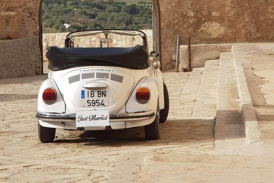 Herbie esperando la ceremonia