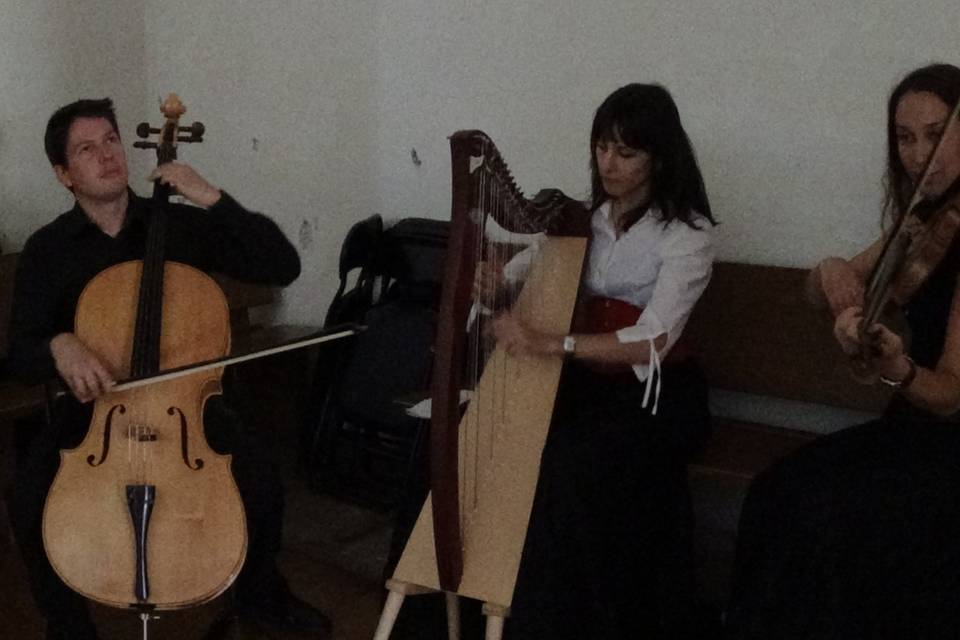 Trío de arpa, violín y violonchelo