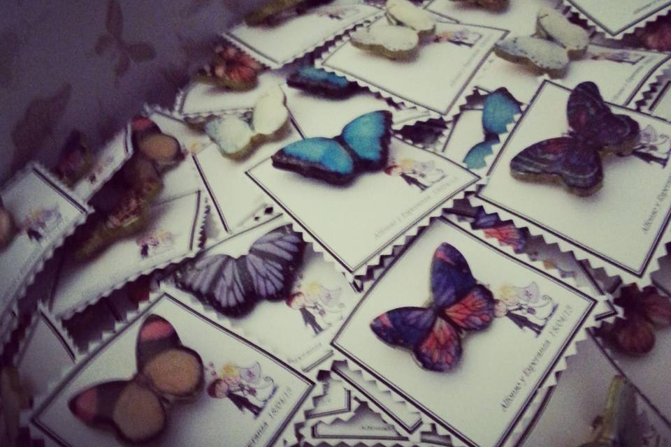 Mariposas minibroches