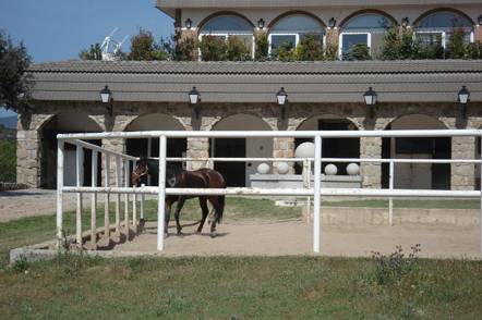 Celebraciones con Caballos