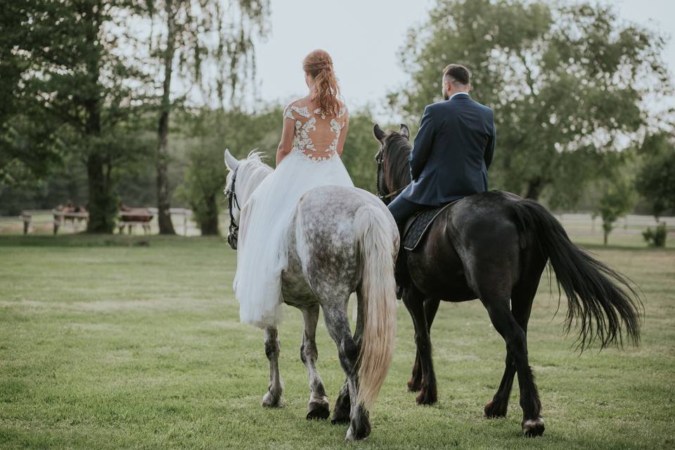 Paseo con caballo