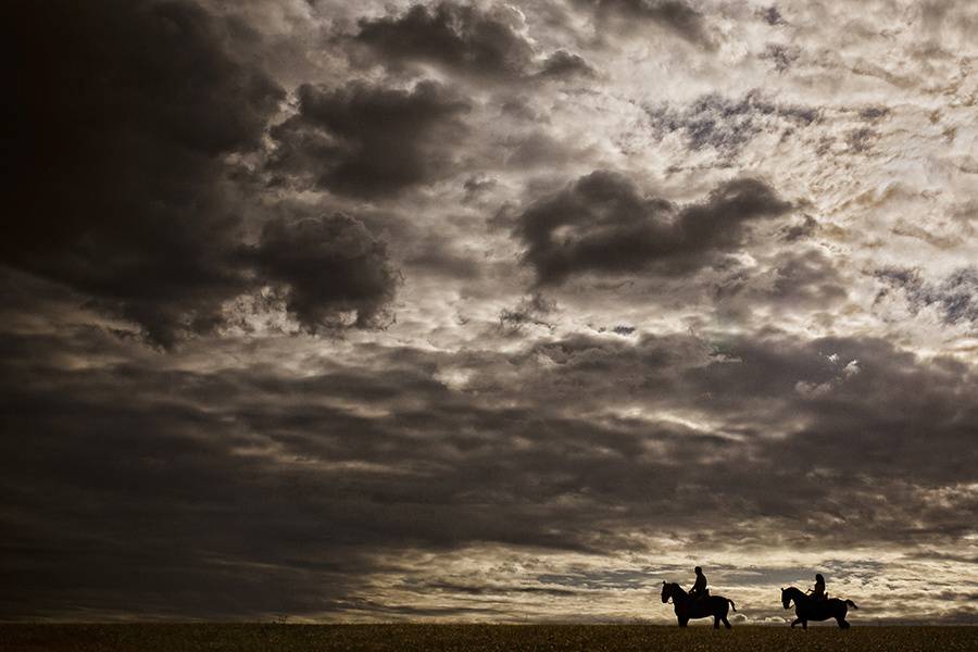 Preboda con caballos