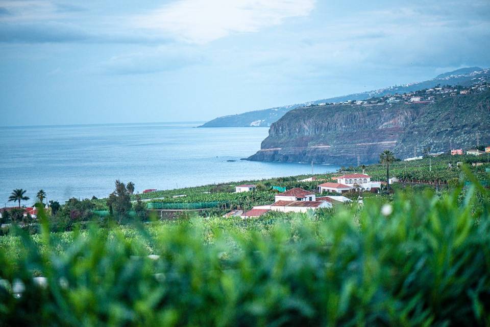 El Valle desde la Finca