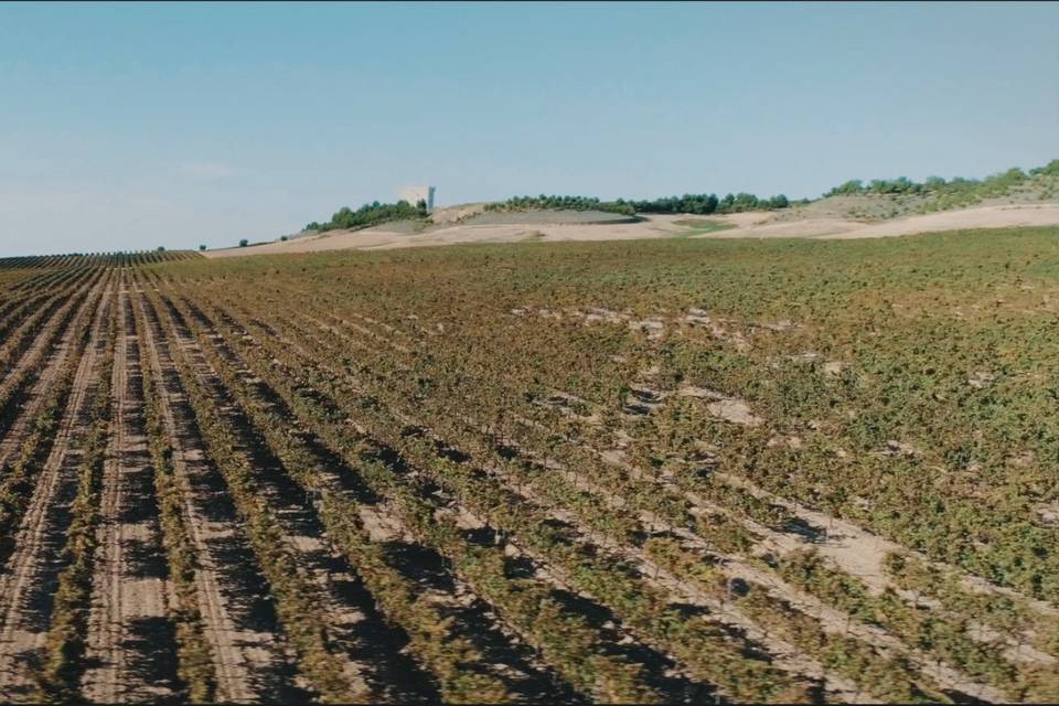 Valle Blanco