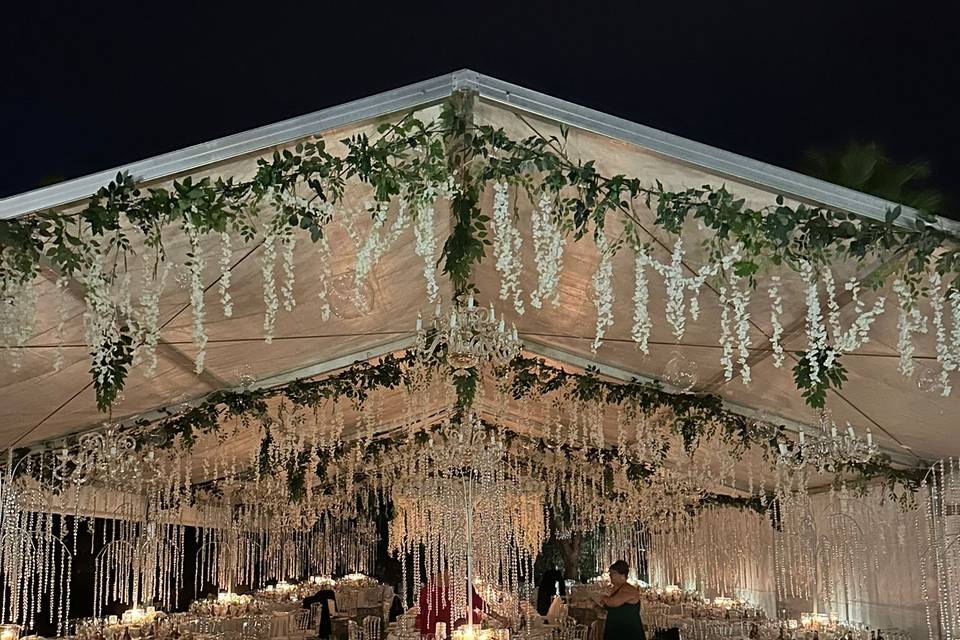 Carpa decorada