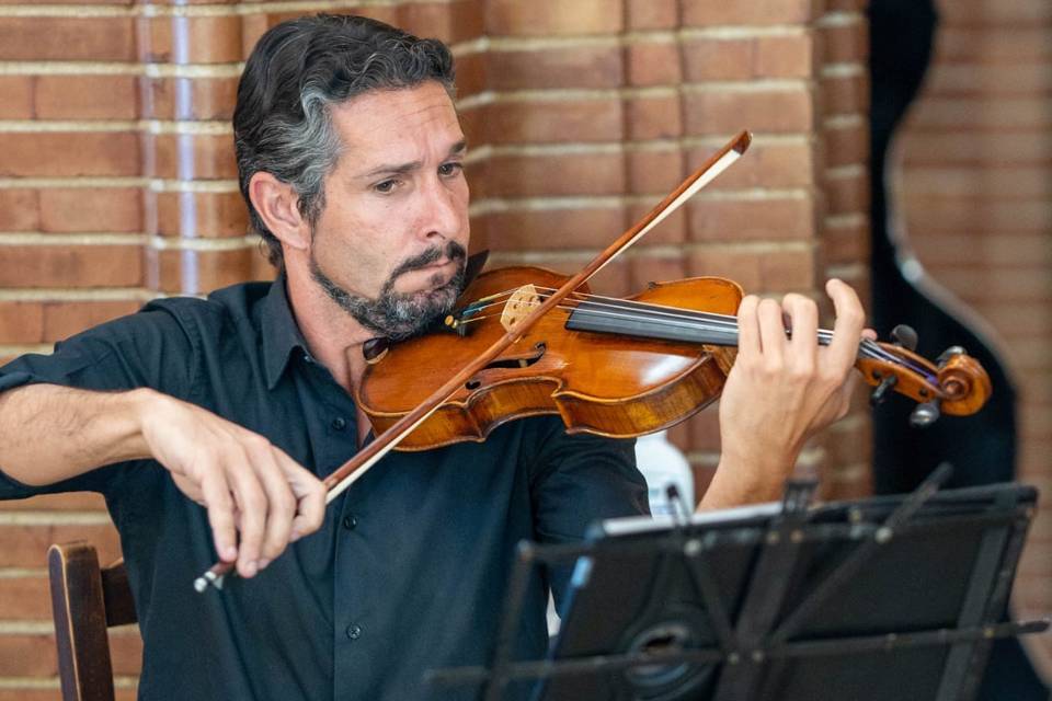 Violinista