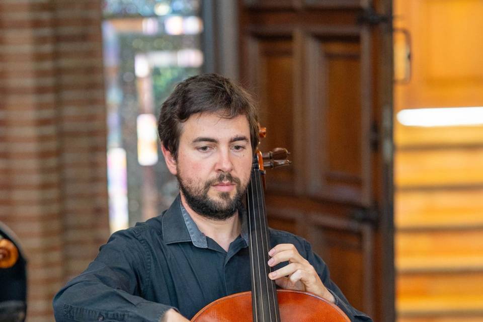 Violonchelo