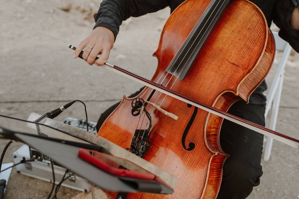 Violonchelo