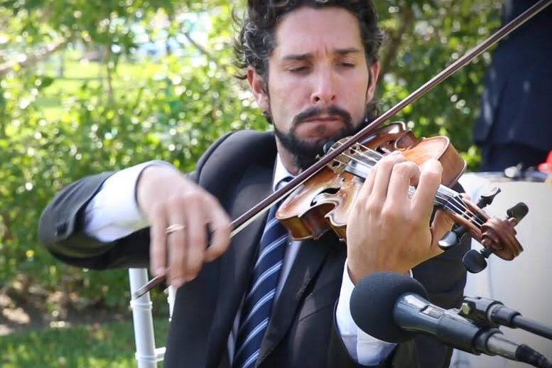 Violinista Enrique