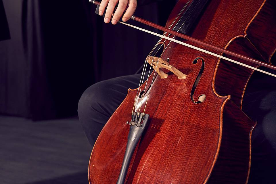 Violín