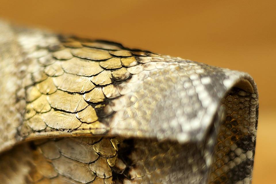 Bolsos de serpiente pitón