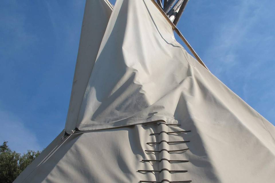 Tipi