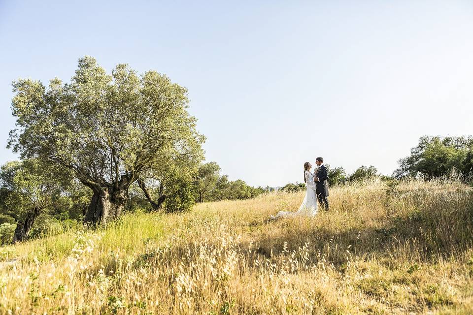 Noces & +