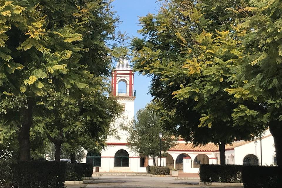 Vista de los jardines