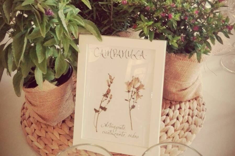 Decoración floral