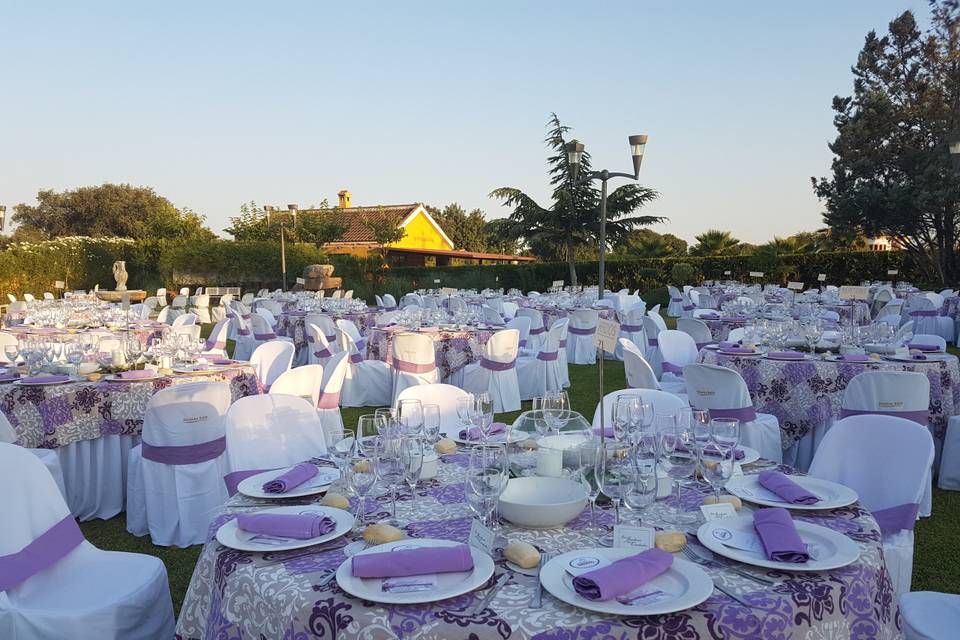 Cena en Jardines del Cardador