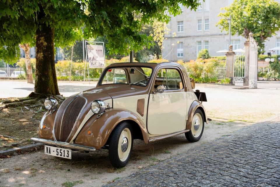 Topolino