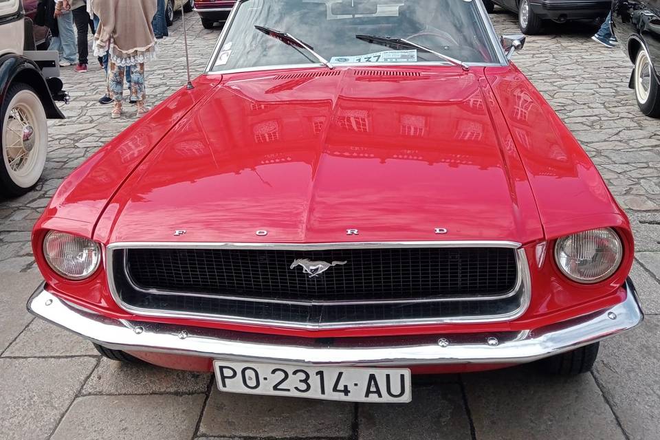 Mustang