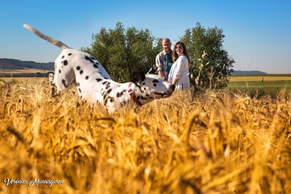 Verónica Muniosguren Fotógrafa