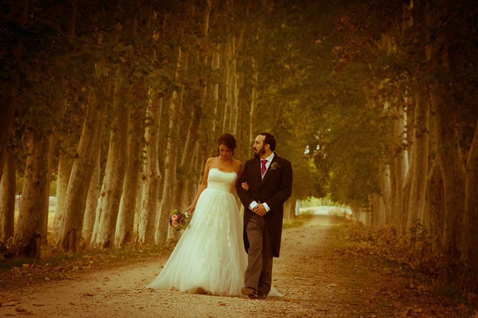 Bodas en Aranjuez