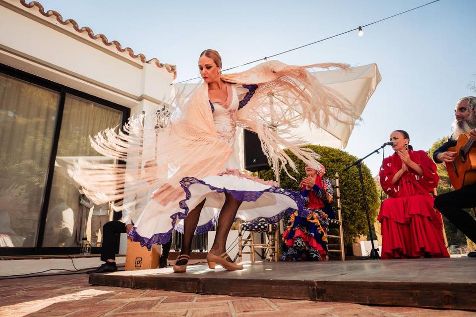 Flamenco show