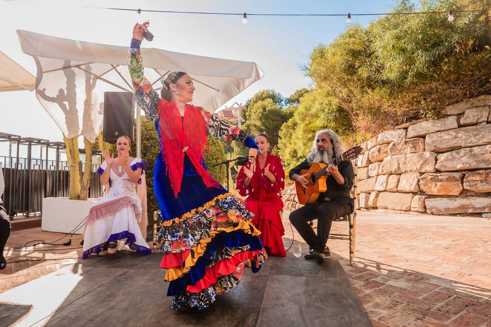 Flamenco show