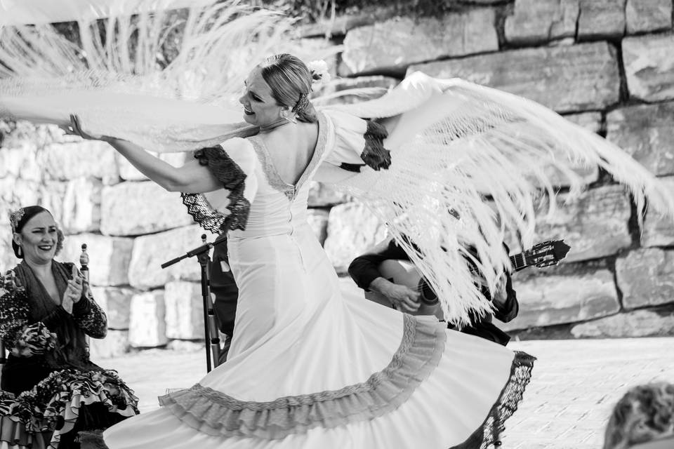 Flamenco show