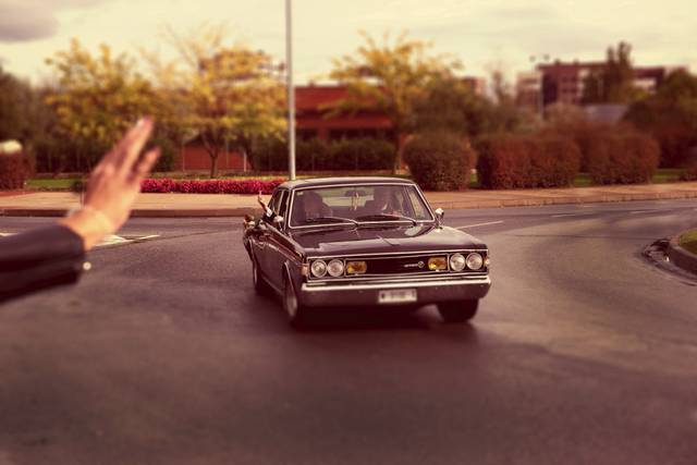 Javier Goicoechea 2026©