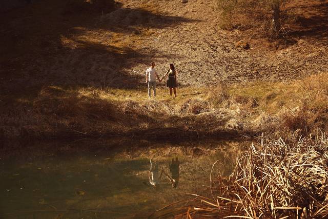 Javier Goicoechea 2026©