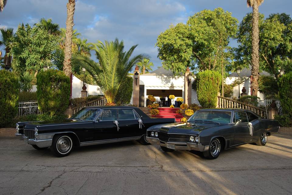 Cadillac y Buick