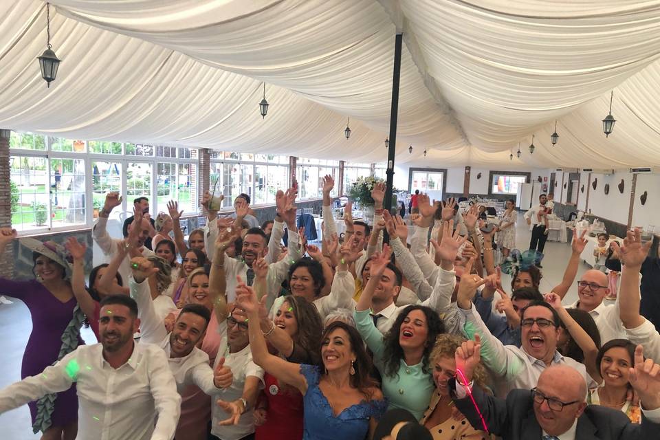 Bodas