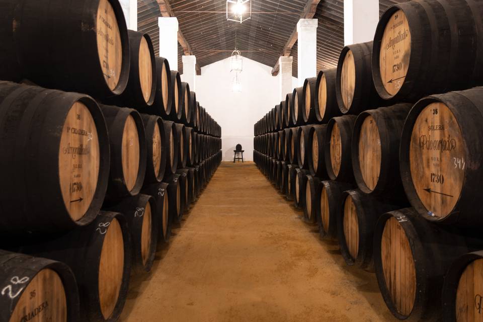 Bodega Olorosos