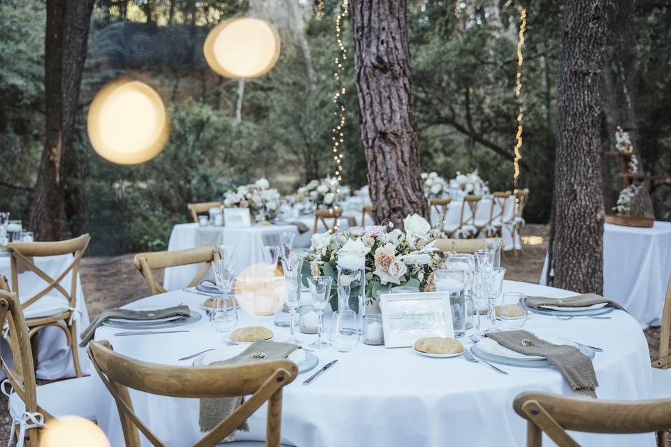 Boda en el bosque