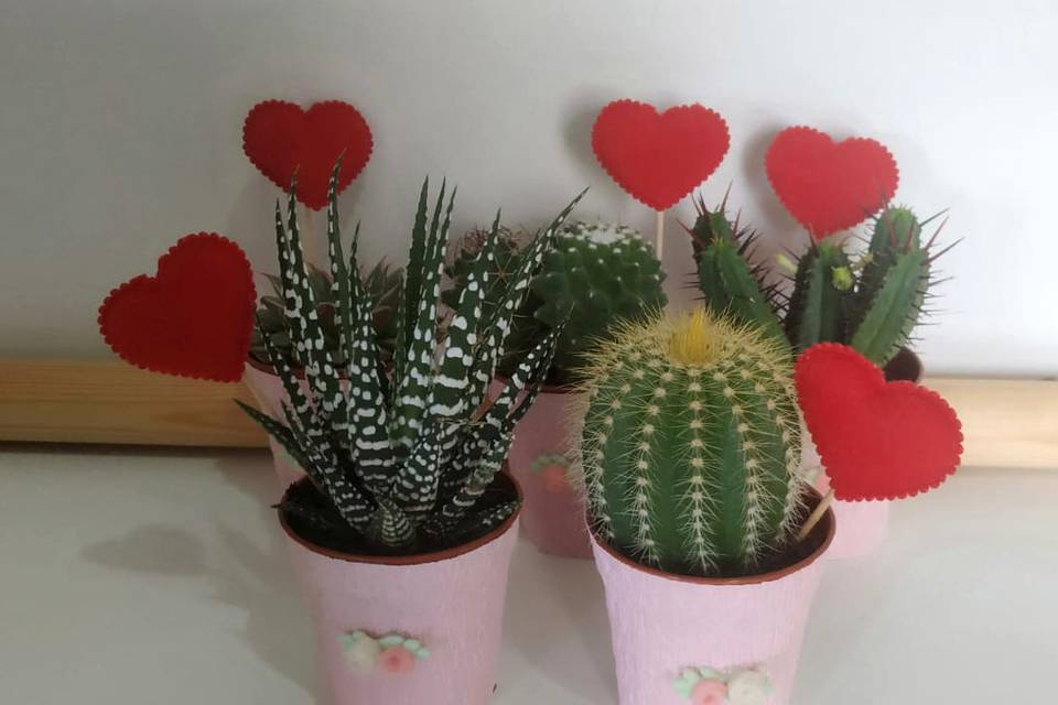 Minimacetas cactus deco