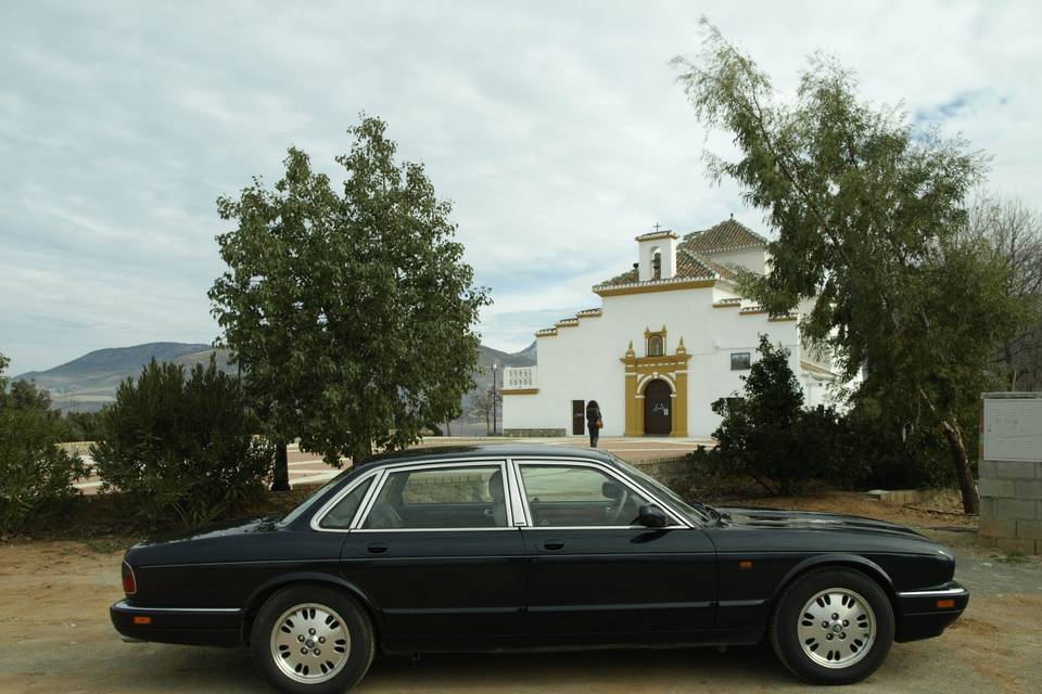 Jaguar clasico