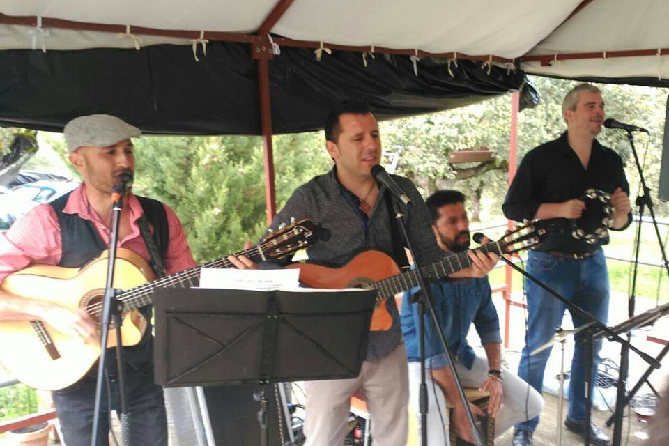 Bodas de plata